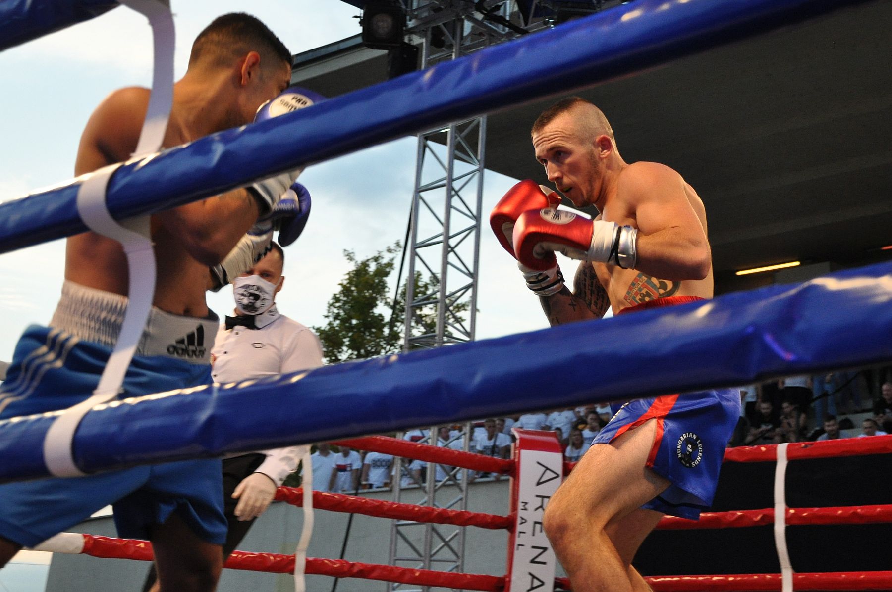 Kiliti Tamás harmadik profibox győzelme képeken